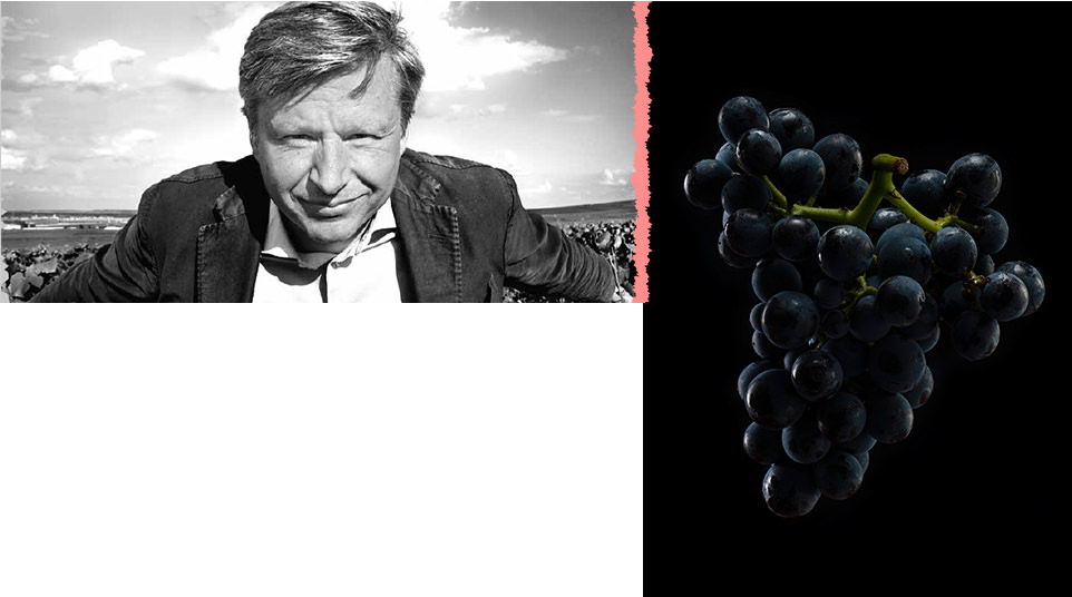 Brut Nature 2012 | Champagne Louis Roederer