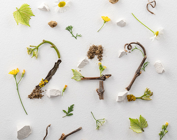 Collection 242 | Champagne Louis Roederer
