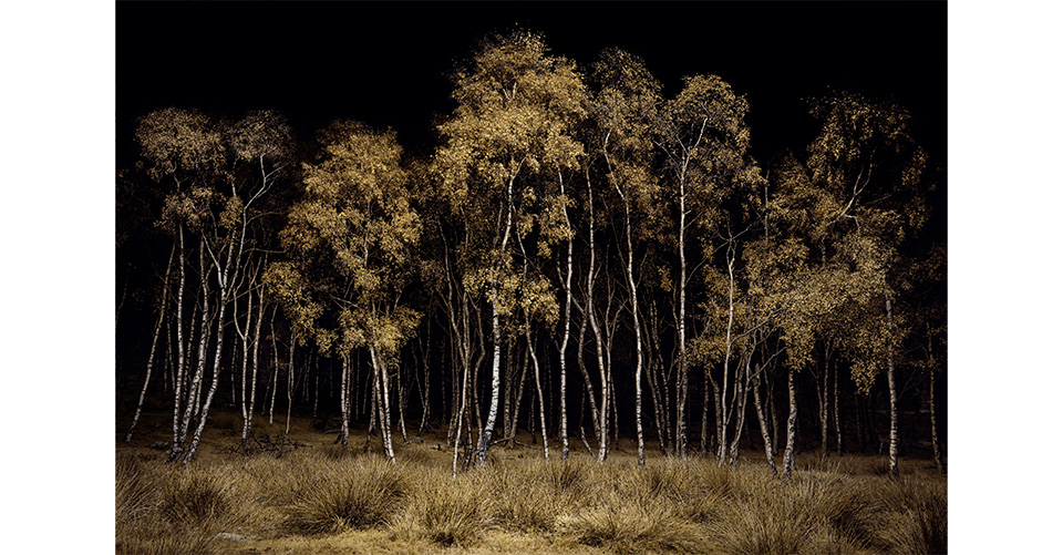 Louis Roth Photographer Louis Roederer Foundation Photography Prize for Sustainability 2024 ...