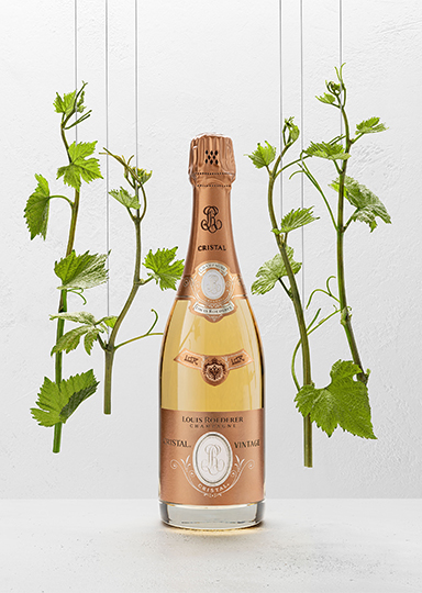 cristal_rose_miniature_2.jpg