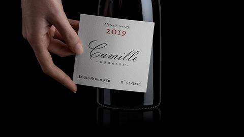 An exceptional 2019 vintage for 