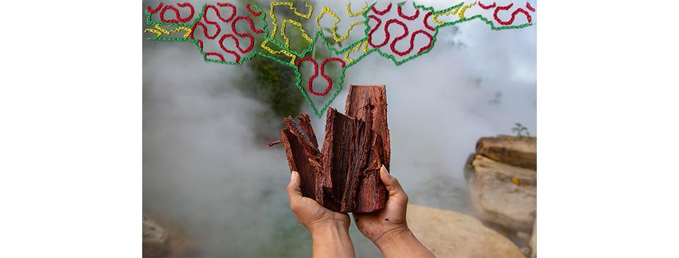 © Ana Elisa Sotelo & Sadith Silvano, Came Renaco Bark for preparing medicine, Portraits of the Multiverse © Ana Elisa Sotelo & Sadith Silvano, Came Renaco Bark for preparing medicine, Portraits of the Multiverse