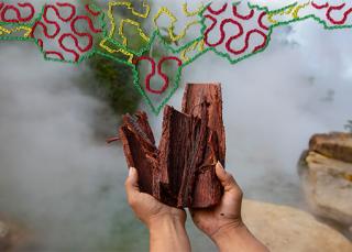 © Ana Elisa Sotelo & Sadith Silvano, Came Renaco Bark for preparing medicine, Portraits of the Multiverse
